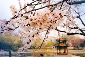 2019MBA聯(lián)考，你難道要放棄么？ ————北京交通大學(xué)“MBA聯(lián)考提分有招”系列活動全面啟動