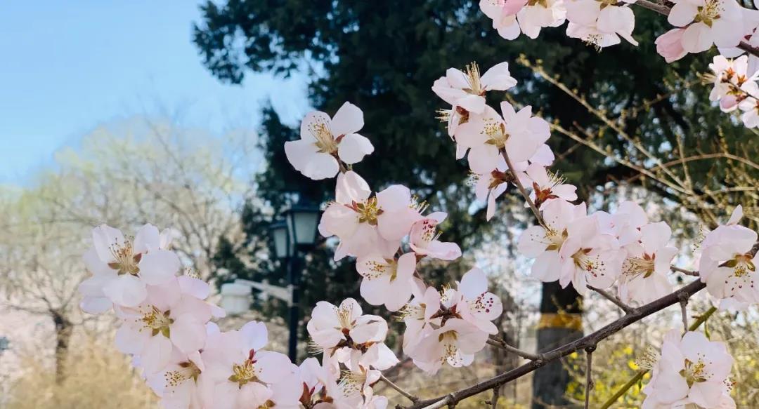 3.27 講座預告| 北大國發院楊壯：VUCA時代企業家和職業人應具備的能力素質（北京）