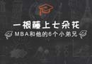 一根藤上七朵花！MBA和他的六個小兄弟