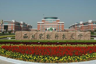 西北工業大學2020年MBA（含EMBA）、MEM提前批面試政策