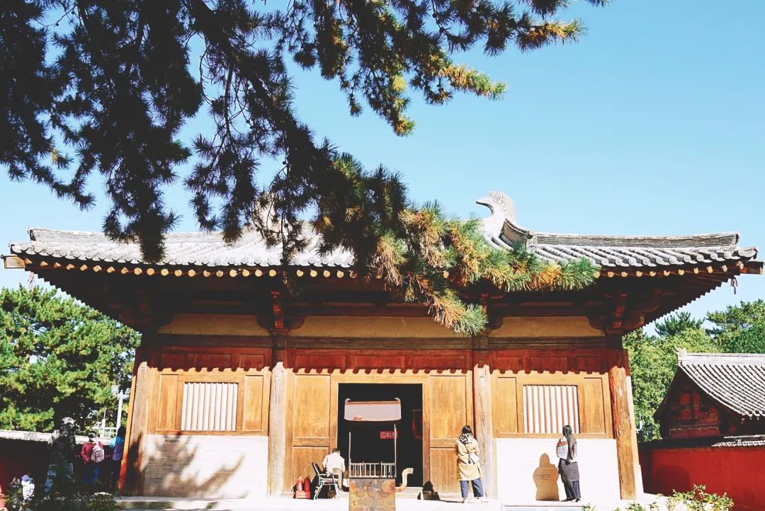  BIFudanMBA：MBAer極光劇場 | 去旅行吧，打開你的細(xì)胞壁，感受時空之美