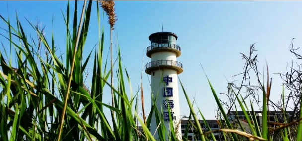 通知 | 上海海事大學(xué)經(jīng)濟(jì)管理學(xué)院教育培訓(xùn)中心非全日制MBA/MEM/項目管理/MPAcc專業(yè)學(xué)位新增指標(biāo)調(diào)劑系統(tǒng)開放通知
