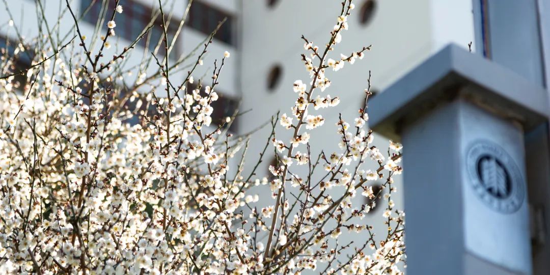 權(quán)威發(fā)布 | 華東師范大學(xué)2023年入學(xué)MBA提前批面試政策