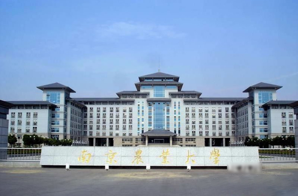 2023年南京農業大學MBA網報指南