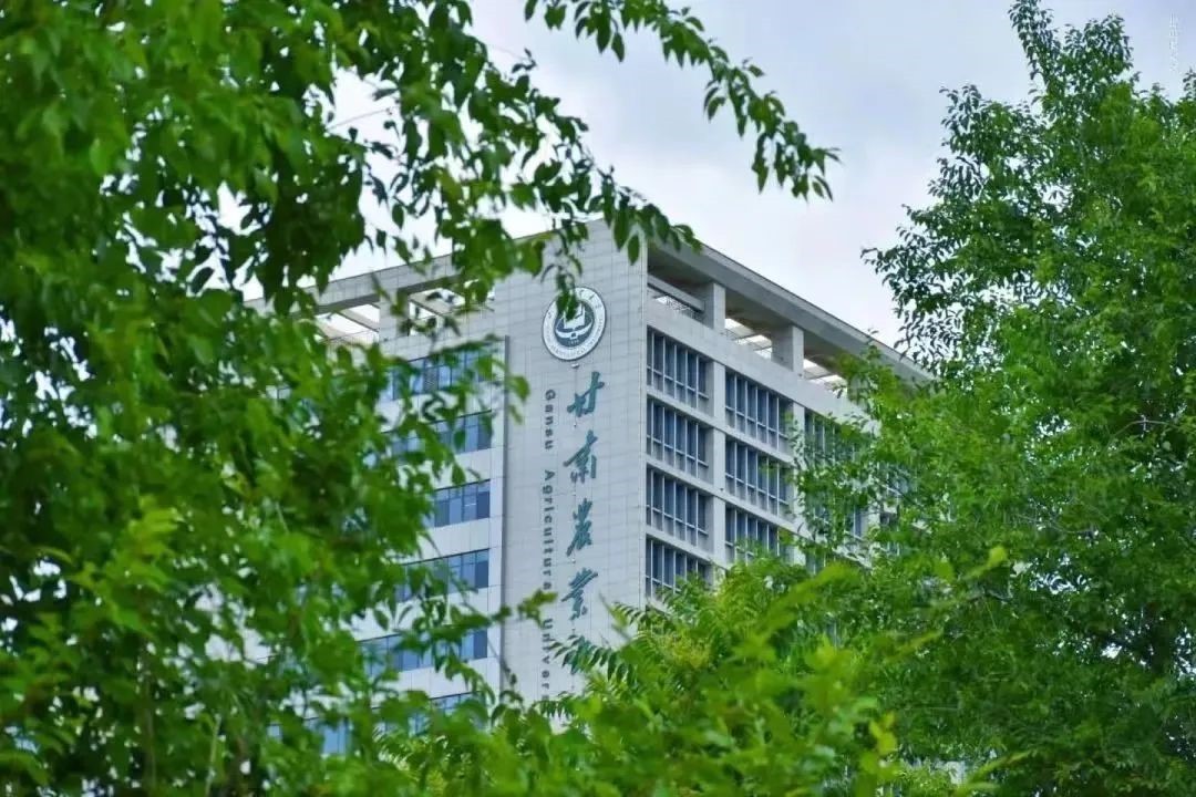 2022央廣網(wǎng)MBA教育峰會(huì)：甘肅農(nóng)業(yè)大學(xué)MBA