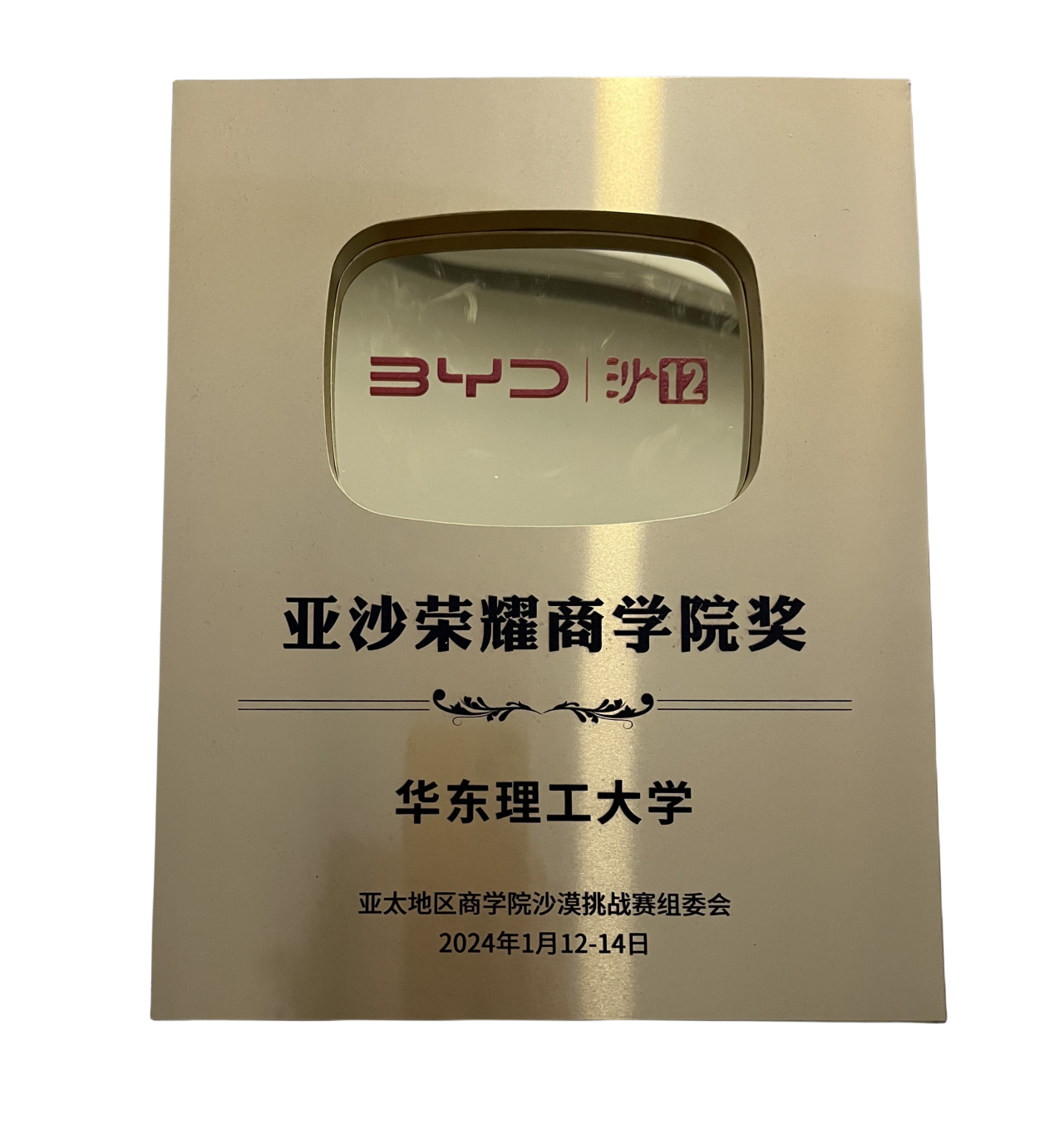 踔厲奮發 勇攀高峰｜華理狼徒騰沙12榮獲多項亞沙團隊獎項