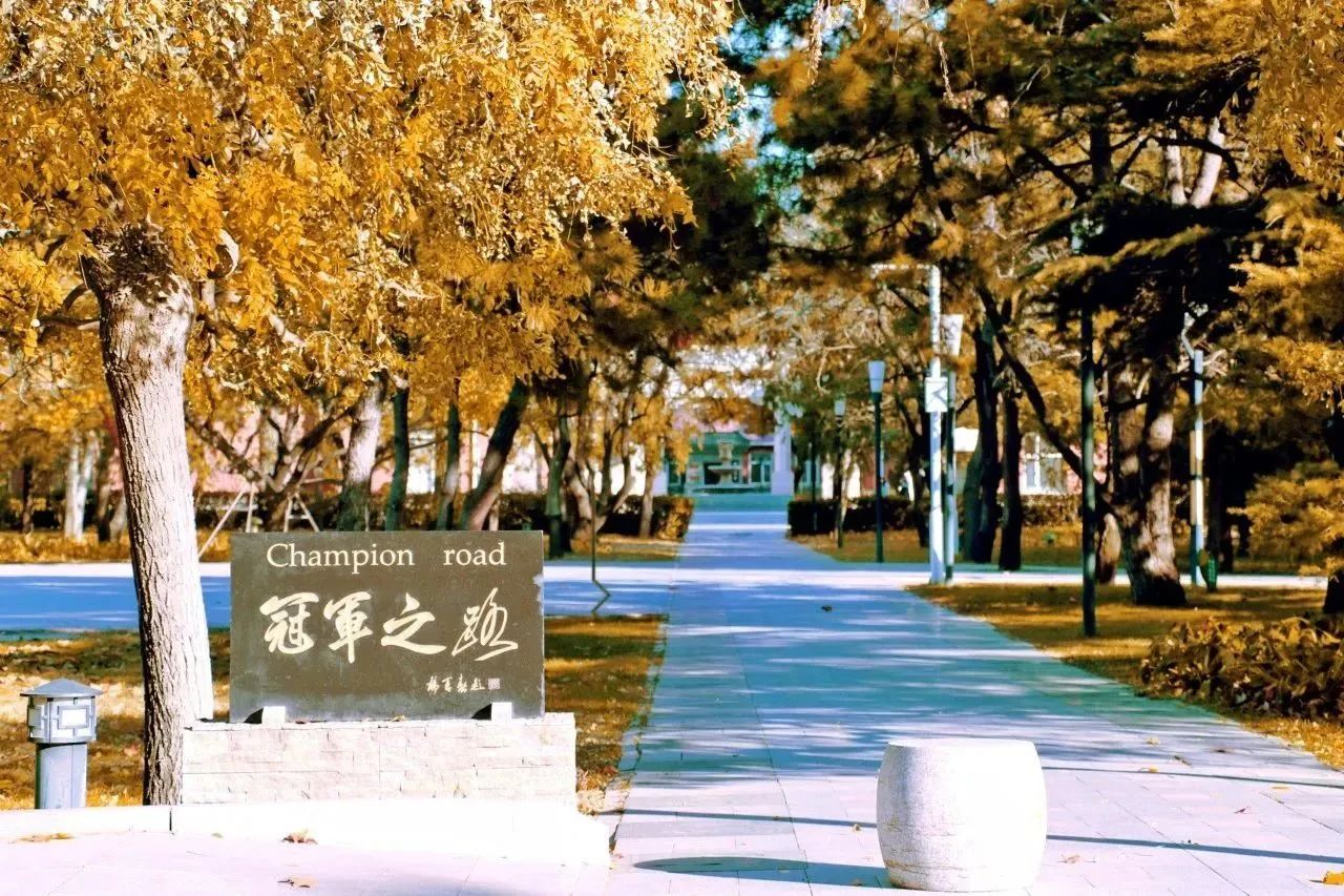調(diào)劑意向登記 | 2024年北京體育大學(xué)MBA調(diào)劑意向登記及常見(jiàn)問(wèn)題解答