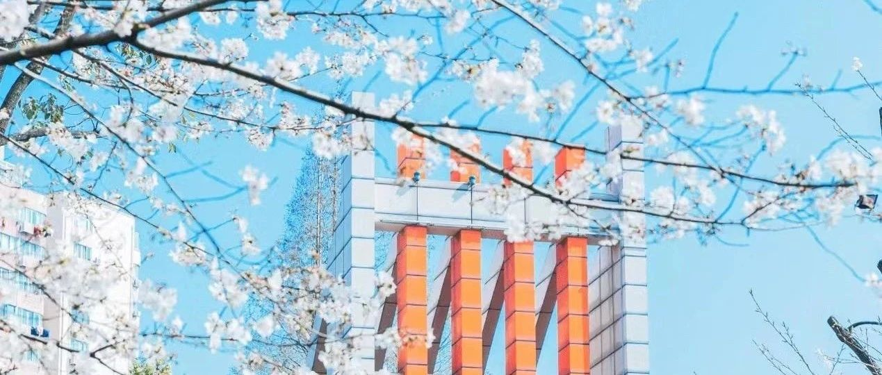 上海理工大學重磅新增！2025物流工程與管理非全項目：AACSB認證！獎學金最高5萬元！住宿/實習全保障！