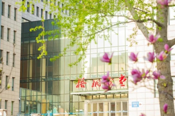 僅剩13個名額，北京語言大學(xué)2025年會計專碩接收調(diào)劑！