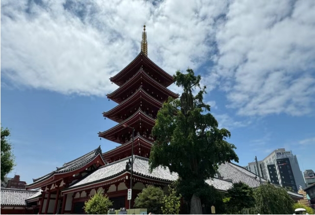 探索日本高等教育學府：北京工業大學MBA學子日本研學之旅啟程在即！